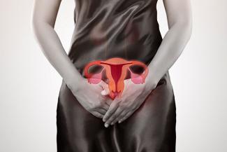 Stock Image of a woman in black with the reproductive parts superimposed in red