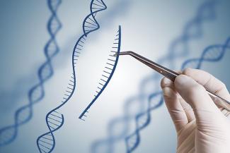 Stock Image representative of Gene Modification 